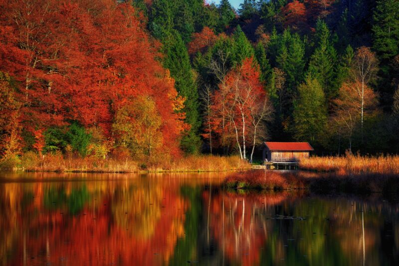 Autumn's Mirror: Lakeside Serenity Wallpaper