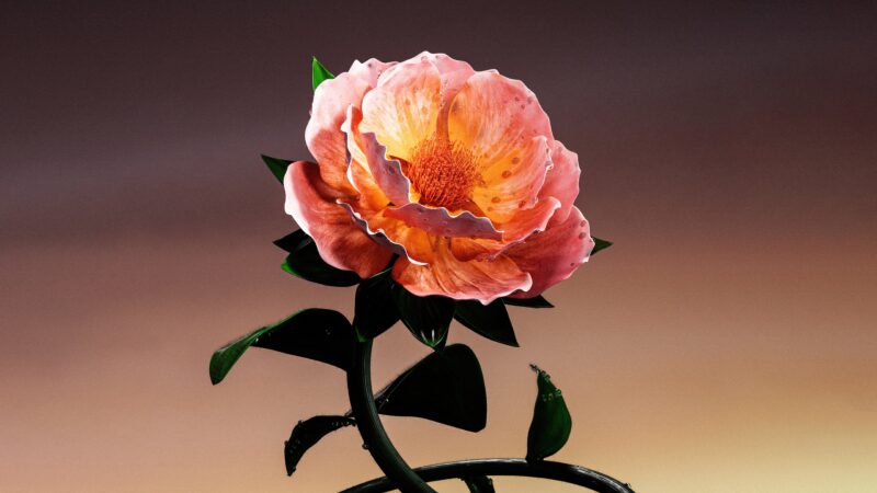 Digital Orange Flower with Dew 4K 5K 8K Wallpaper