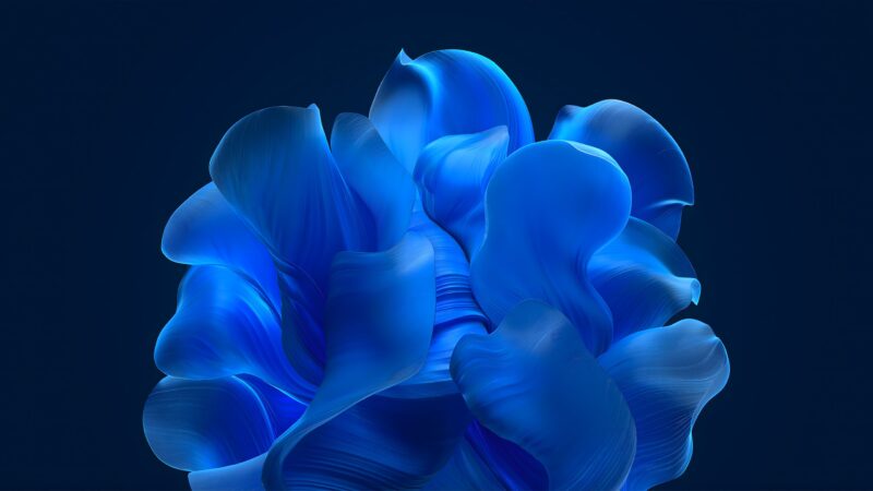 Windows 11 Blue Bloom Aesthetic 4K 5K 8K Wallpaper