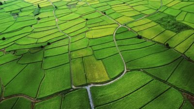 Green Quilted Farmlands: Nature's Geometric Patterns 4K 5K Wallpaper