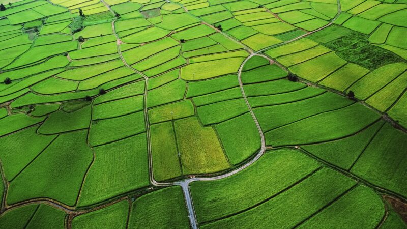 Green Quilted Farmlands: Nature's Geometric Patterns 4K 5K Wallpaper