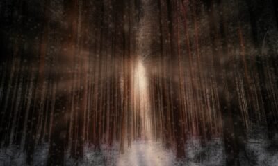 Winter's Ethereal Passage 4K Wallpaper