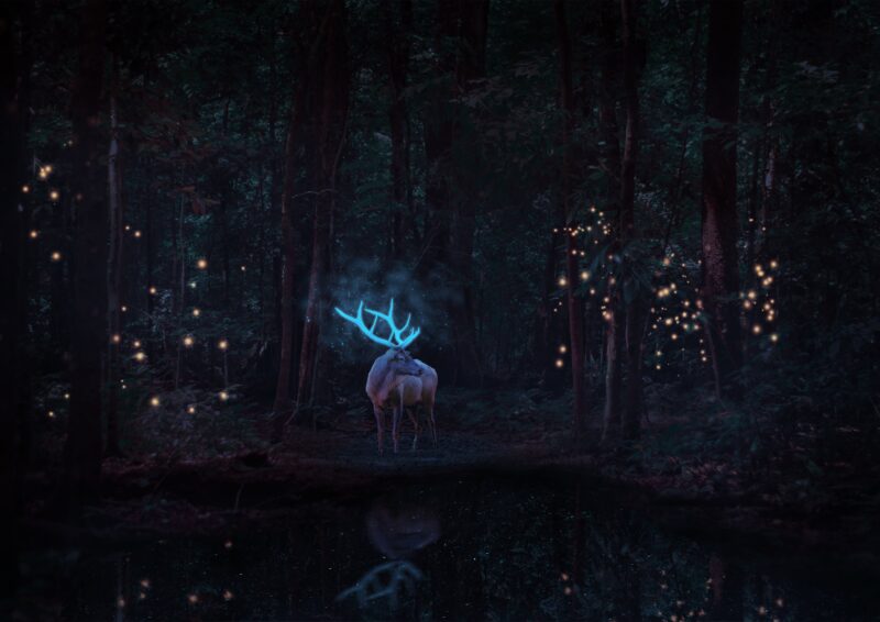 Mystical Stag in Enchanted Woodland 4K Wallpaper