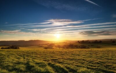 Golden Sunset over Findon Meadows 4K Wallpaper