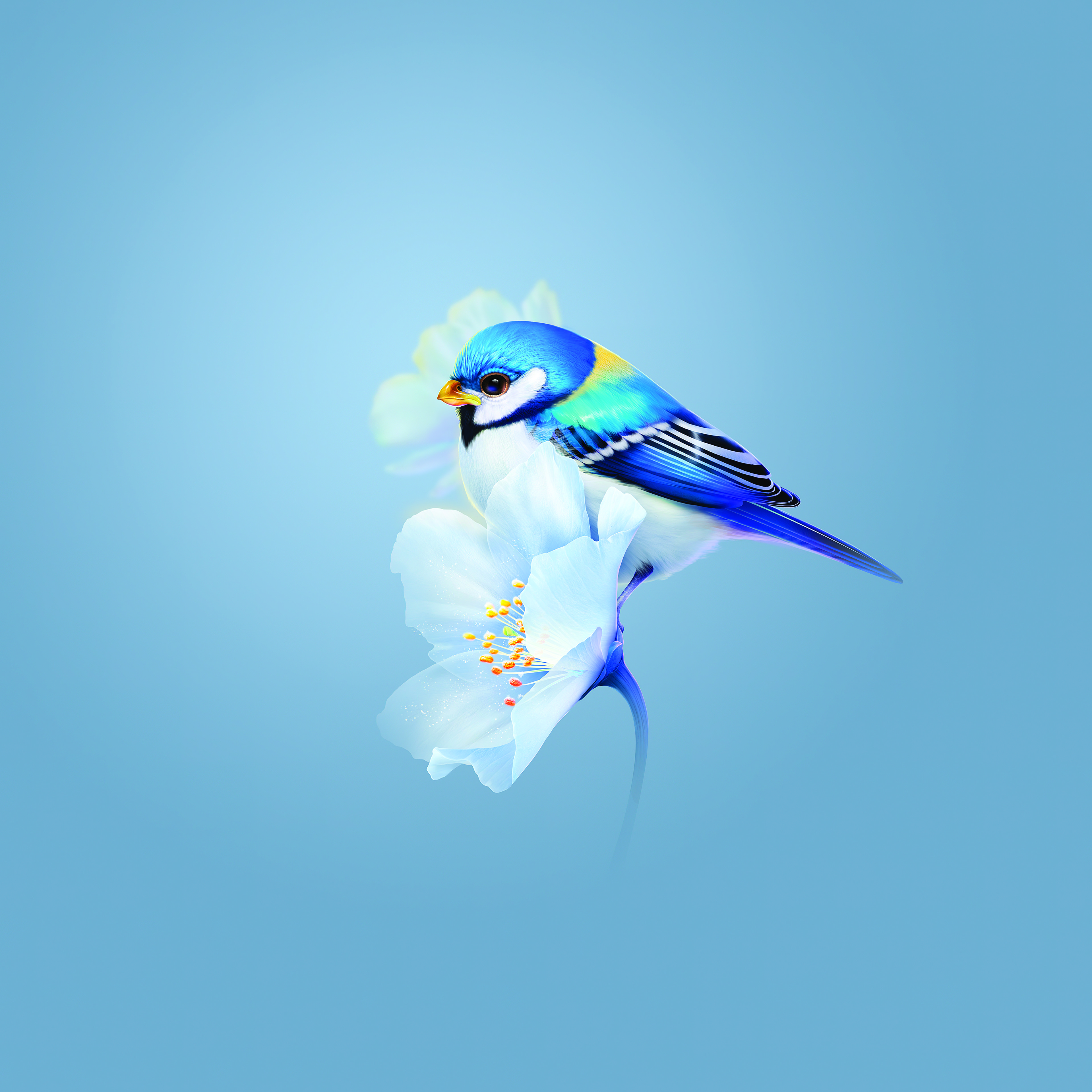 Blue Jay's Serene Blossom Moment 4K Wallpaper