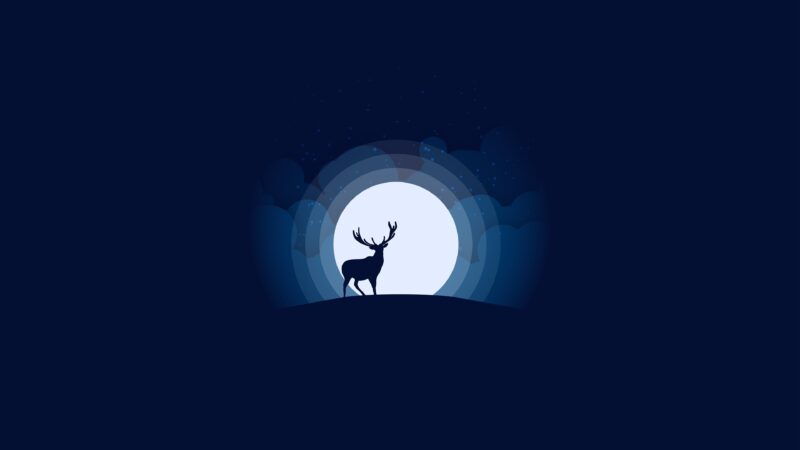 Moonlit Deer Silhouette 4K Wallpaper