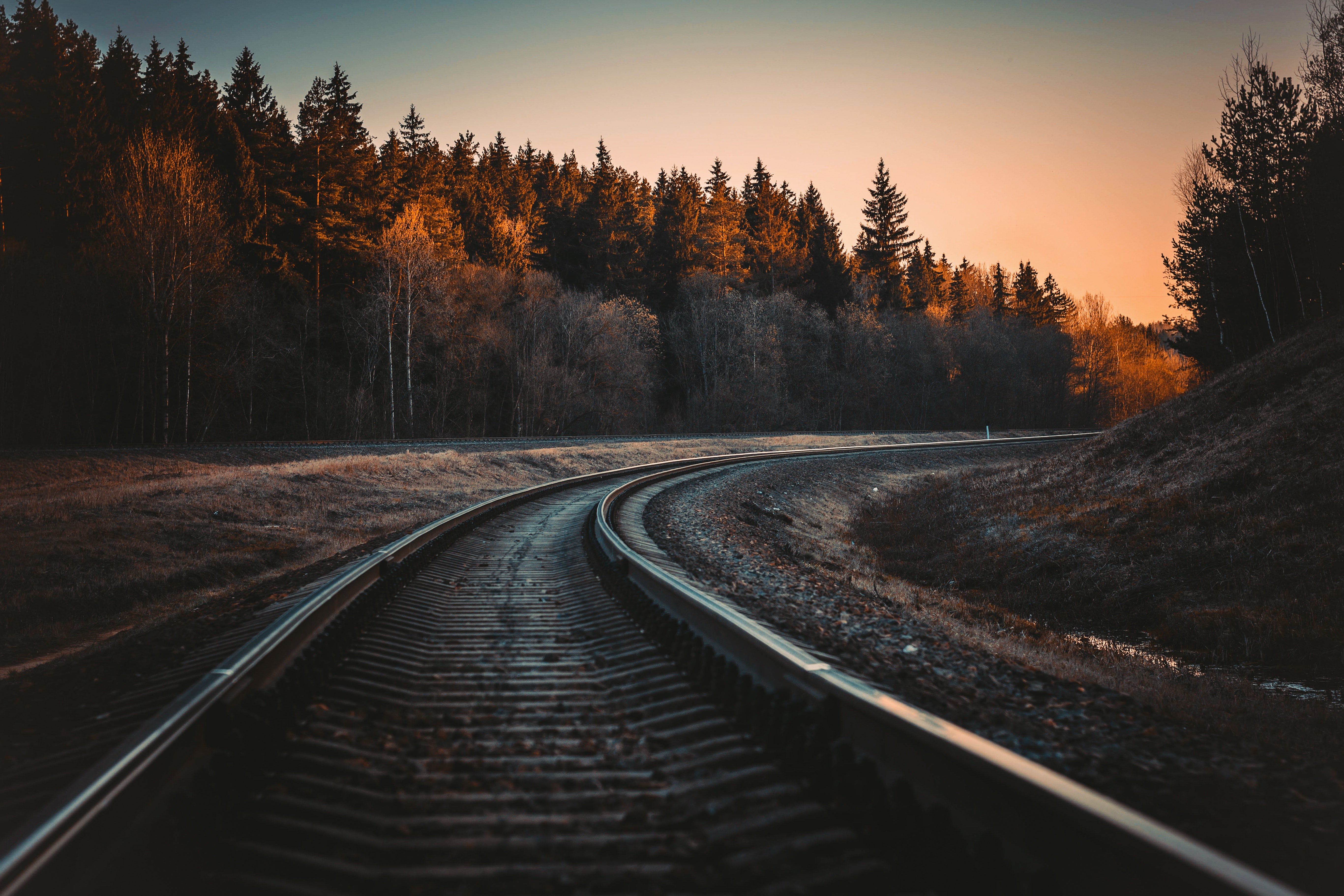Twilight Railway Curve Through Forest 4K 5K Wallpaper