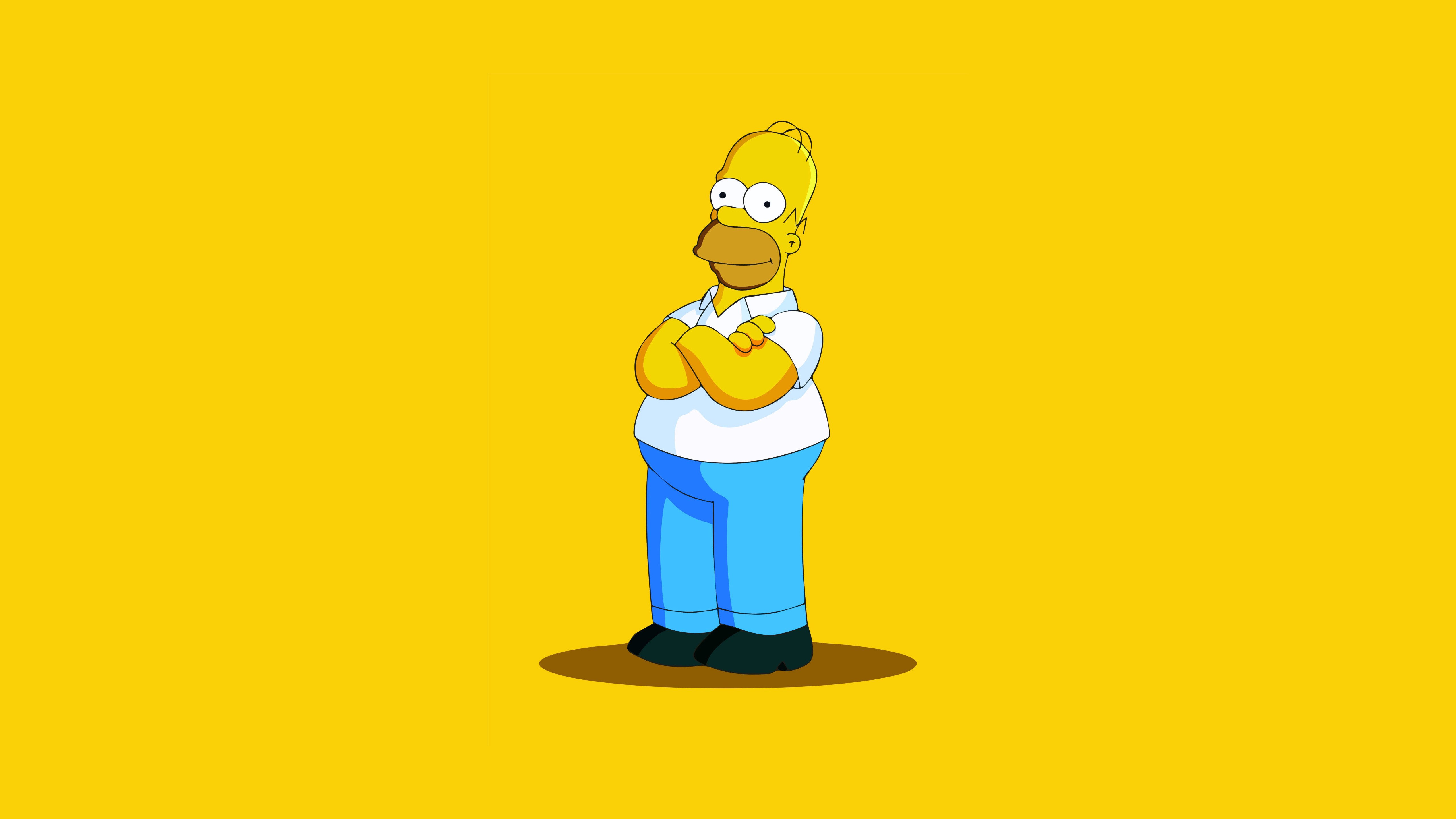 Homer Simpson: Minimal Icon 4K 5K Wallpaper