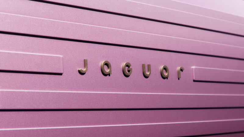 Jaguar Logo on Dusty Pink Surface 4K 5K 8K Wallpaper