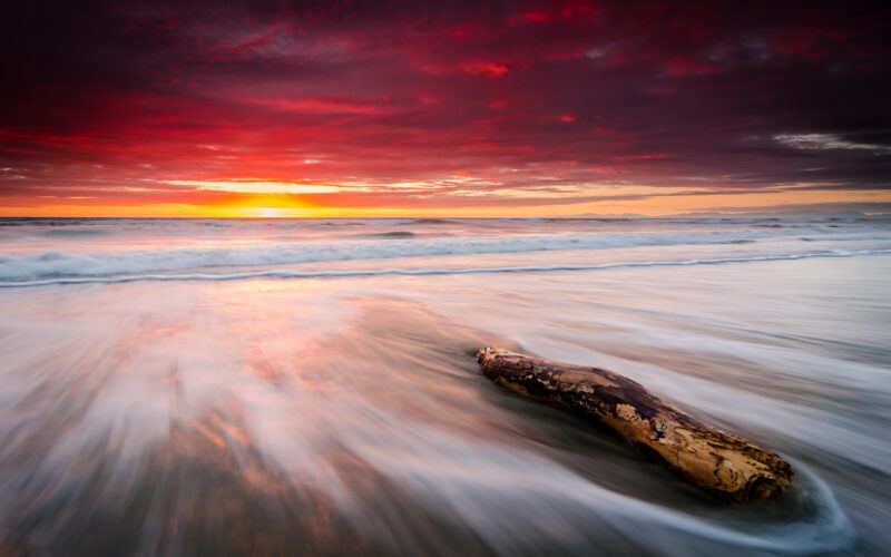 Leithfield's Fiery Dawn: Driftwood & Waves 4K 5K Wallpaper