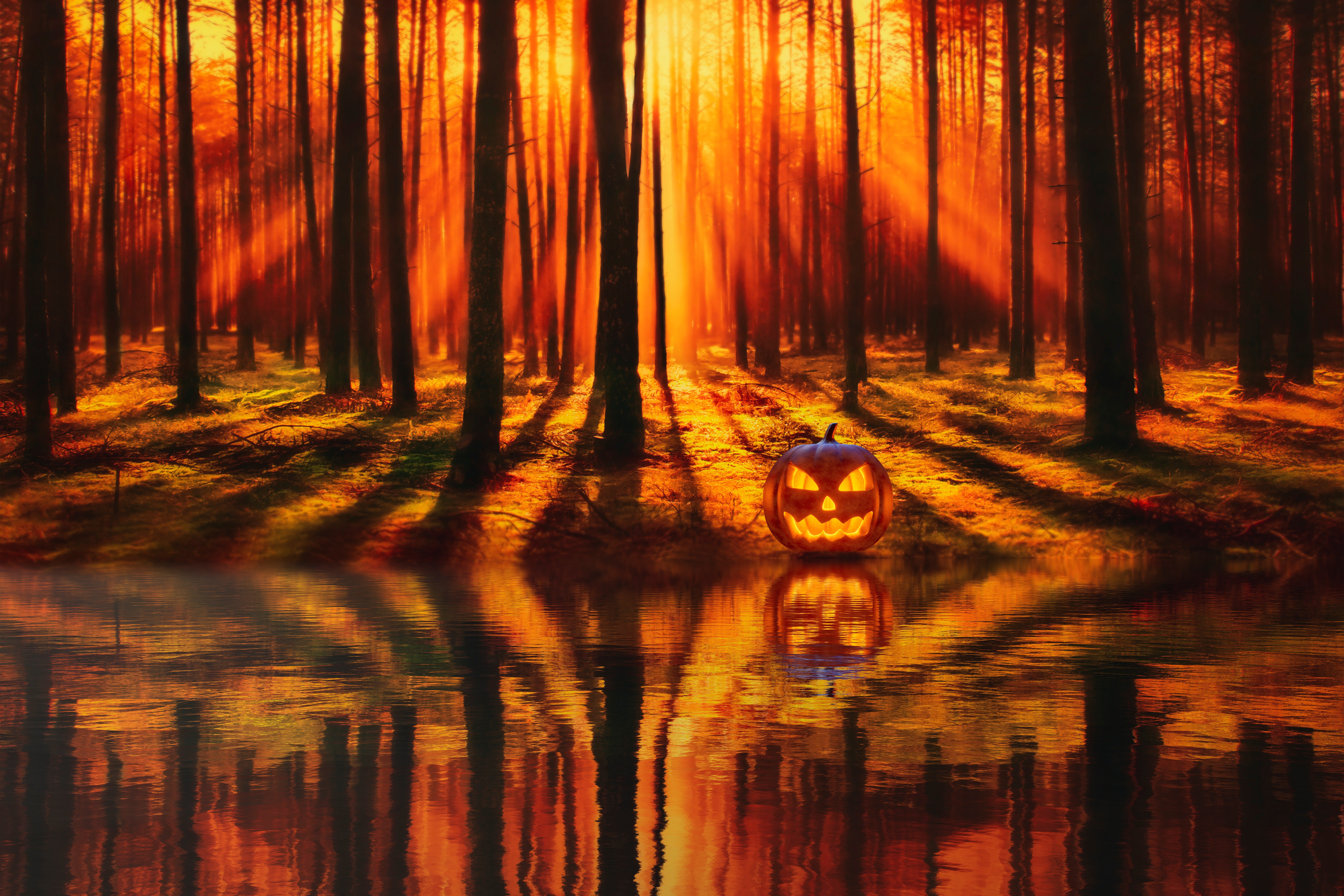 Haunting Jack's Forest Reflection 4K 5K Wallpaper