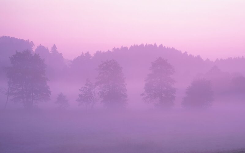 Misty Lion Landscape in Pink Haze 4K 5K Wallpaper