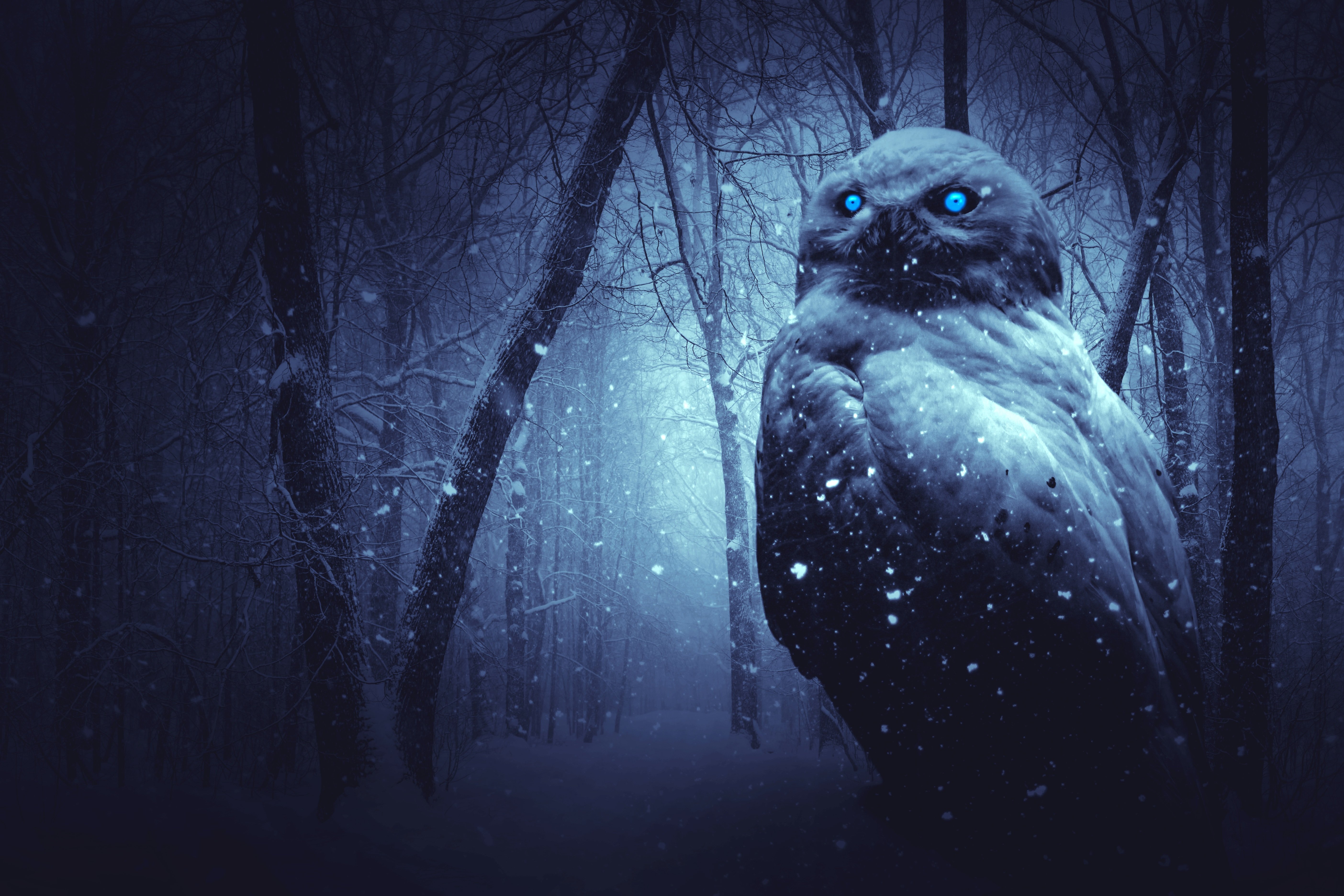 Midnight Owl: Frozen Forest Guardian 4K 5K Wallpaper