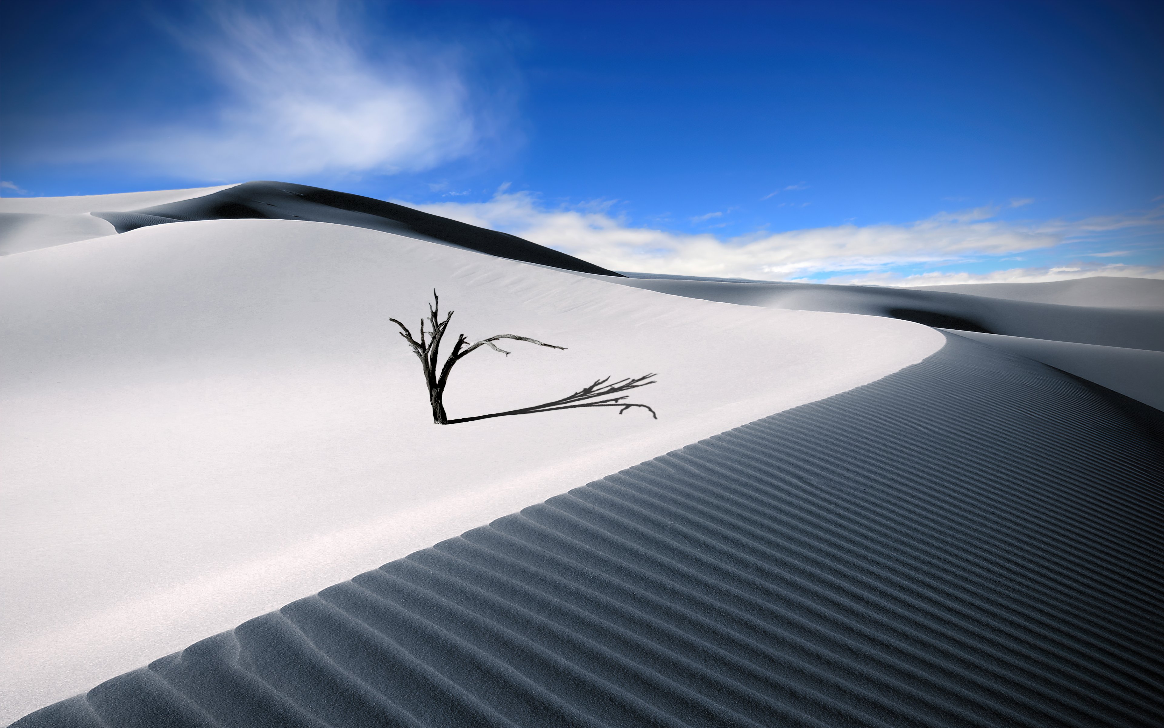 Solitude in Sand Waves 4K Wallpaper