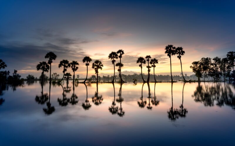 Sunset Palms: Mirrored Tranquility 4K 5K 8K Wallpaper