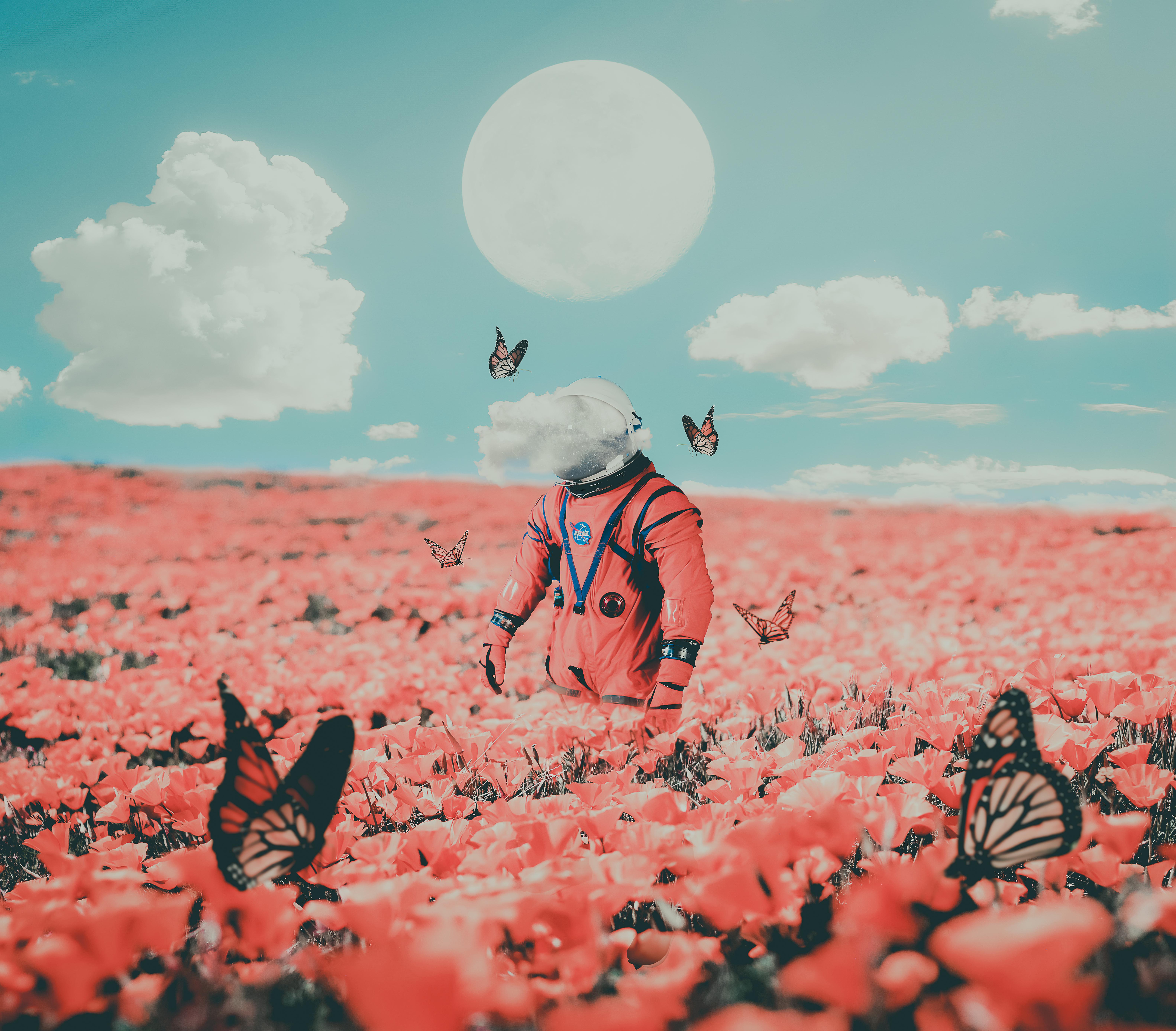 Lunar Bloom: Astronaut in Crimson Fields 4K 5K Wallpaper