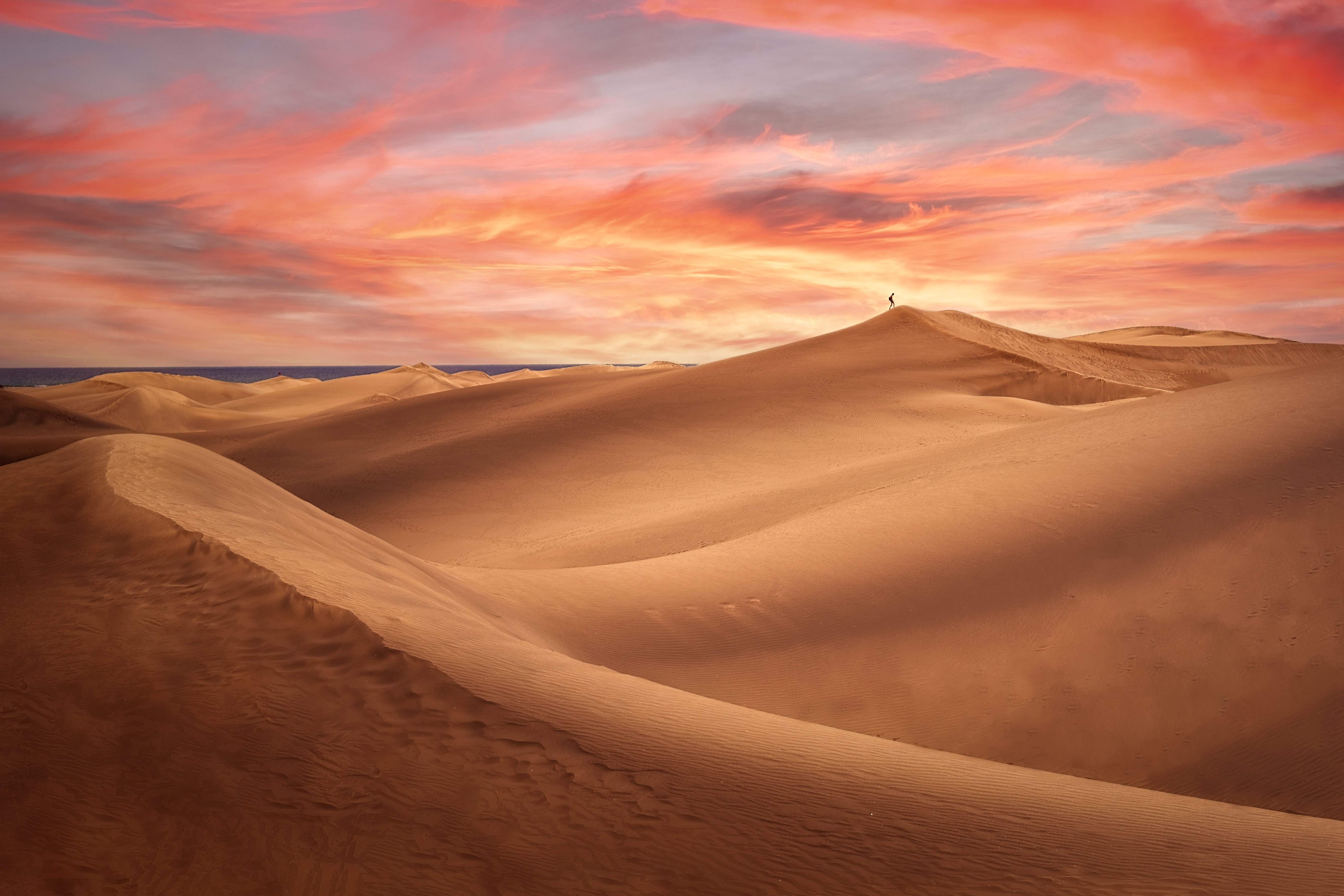Solitude in Desert Sunset 4K 5K Wallpaper