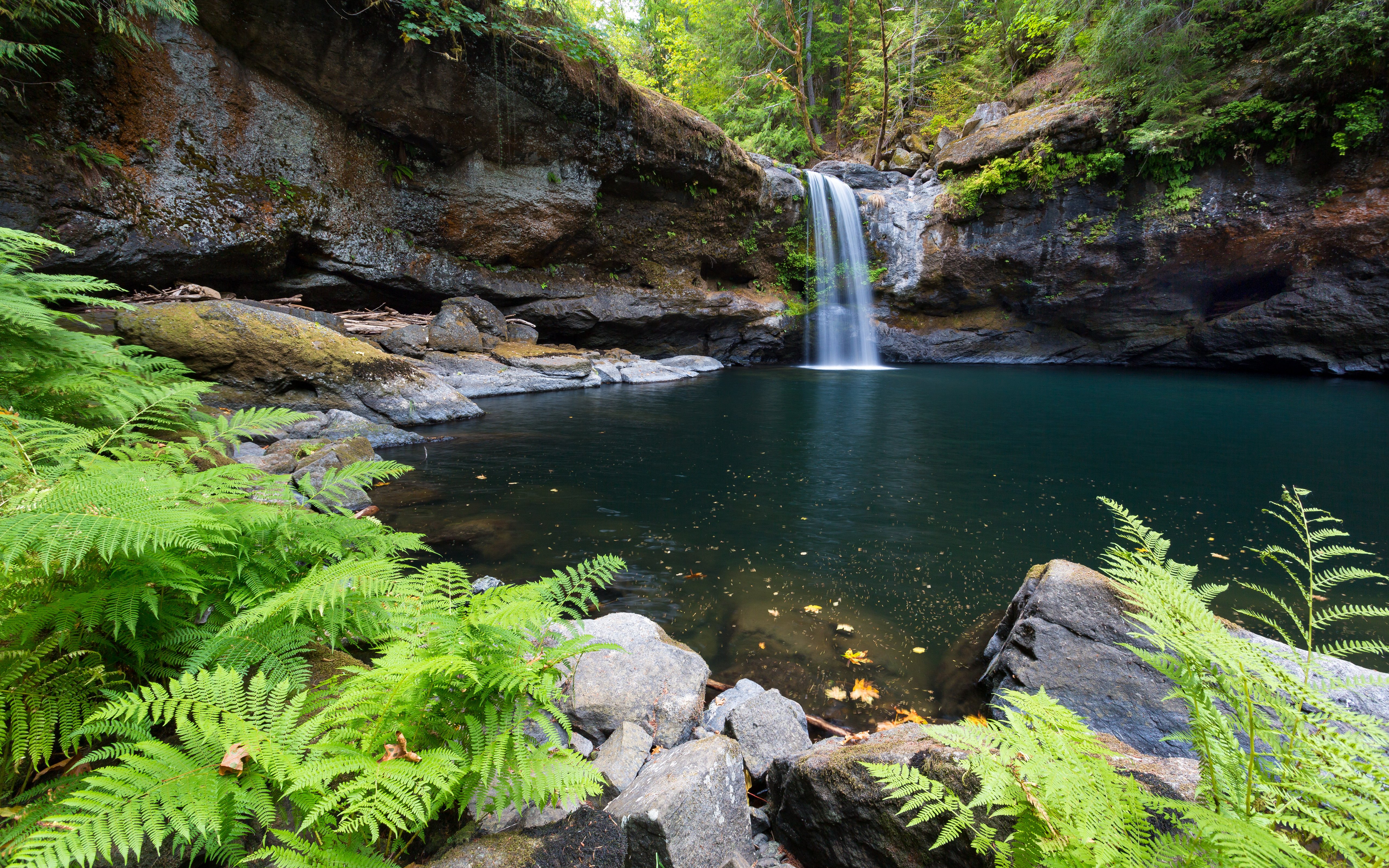 Serene Coquille River Falls in Oregon's Forest 4K 5K Wallpaper