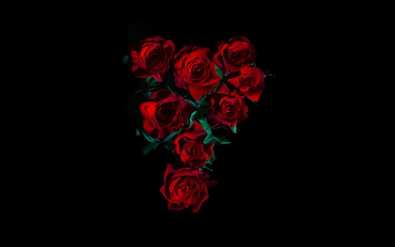 Crimson Roses: Dark Elegance 4K 5K 8K Wallpaper