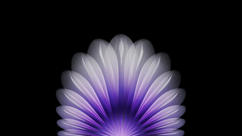 Purple Petals: Oppo Find N5 Symmetry 4K 5K Wallpaper