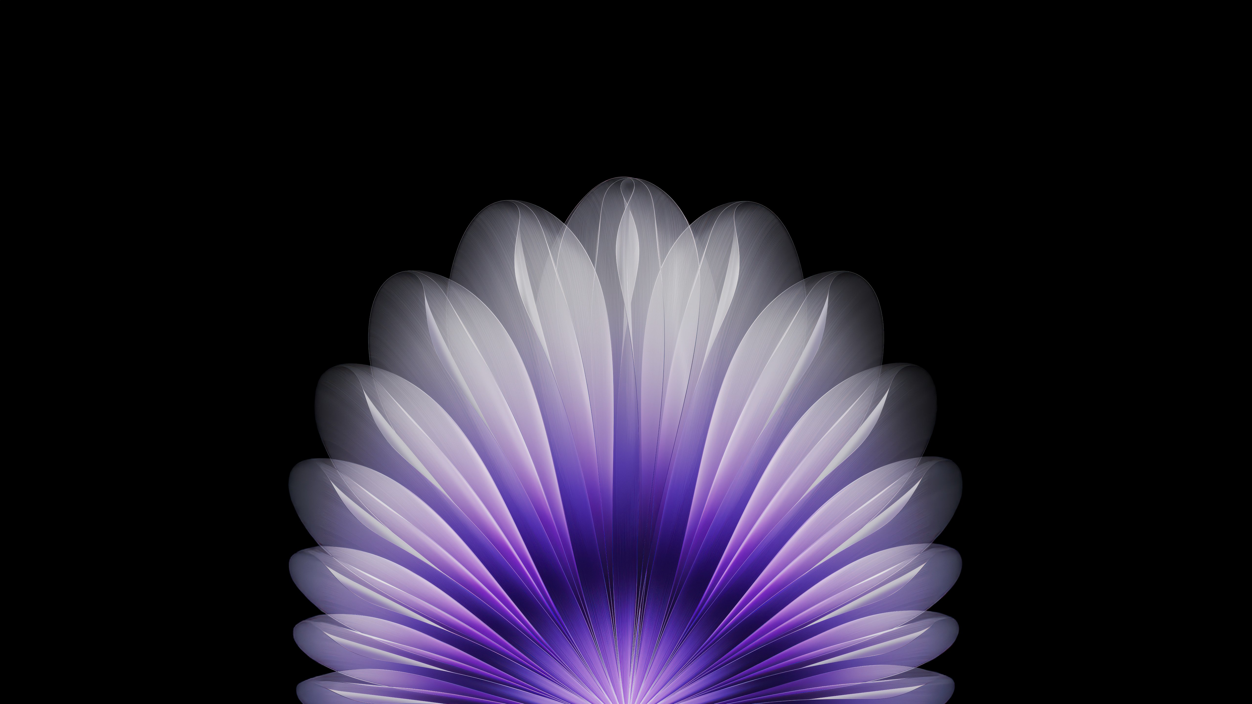 Purple Petals: Oppo Find N5 Symmetry 4K 5K Wallpaper