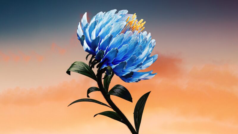 Azure Bloom: Digital Flower Artistry 4K 5K 8K Wallpaper