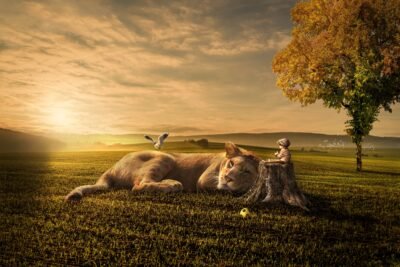 Sunset Play with Lion & Little Boy 4K 5K Wallpaper